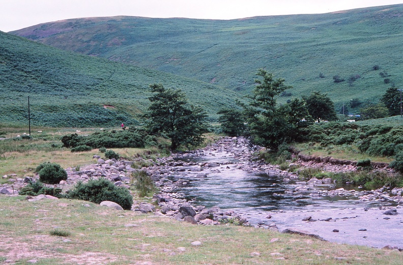 59 River Breamish nr. Powburn.jpg