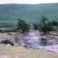 59 River Breamish nr. Powburn.jpg