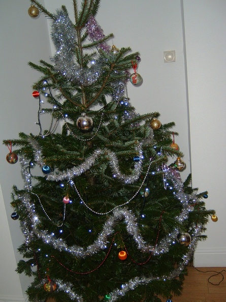 01 Xmas tree 2016.JPG