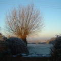 04 Winter frost in the Hare Hill garden.JPG