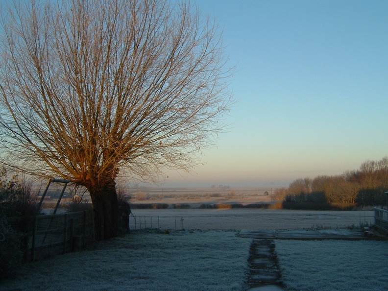 05 More frost towards the field.JPG