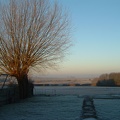 05 More frost towards the field.JPG