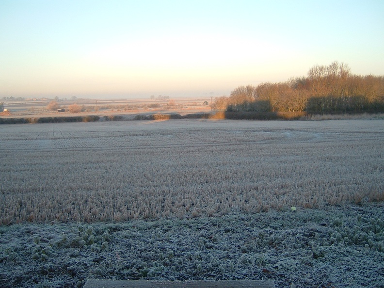 06 Hare Hill field and wood.JPG